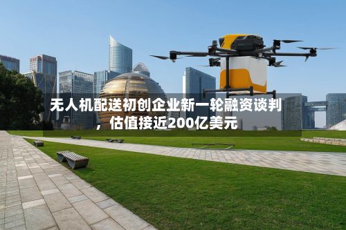 无人机配送初创企业新一轮融资谈判	，估值接近200亿美元-第1张图片