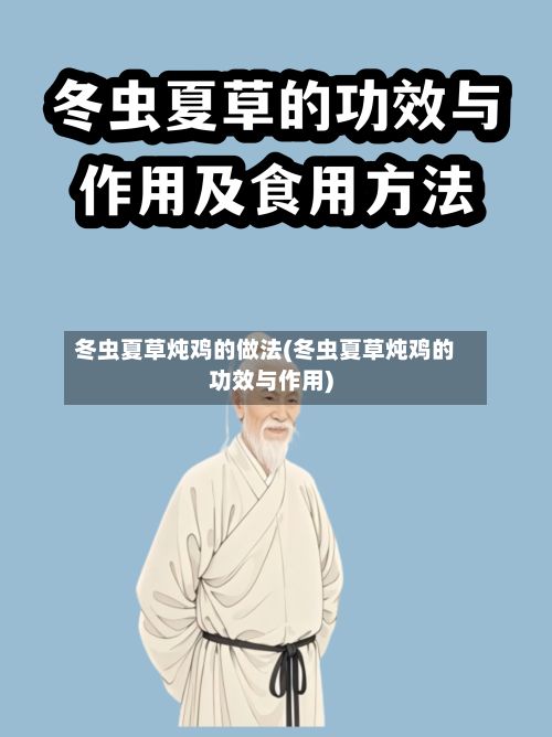 冬虫夏草炖鸡的做法(冬虫夏草炖鸡的功效与作用)