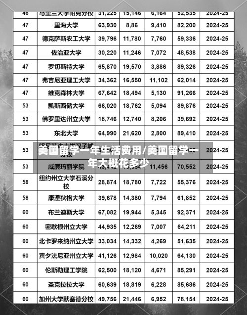美国留学一年生活费用/美国留学一年大概花多少-第2张图片