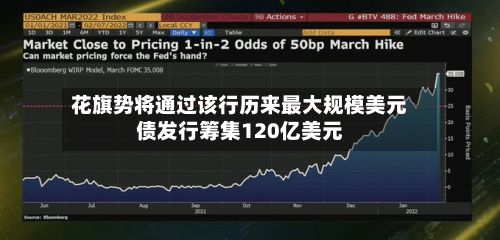 花旗势将通过该行历来最大规模美元债发行筹集120亿美元