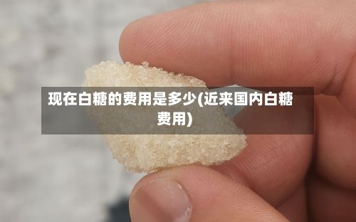 现在白糖的费用是多少(近来国内白糖费用)