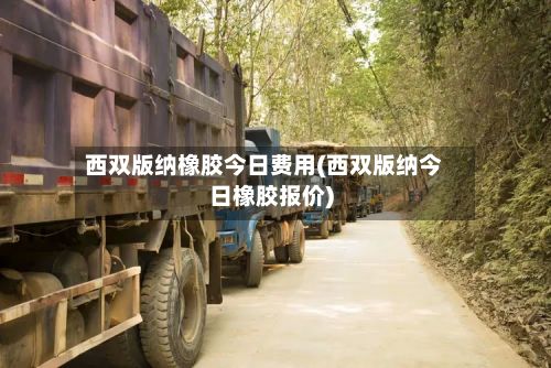 西双版纳橡胶今日费用(西双版纳今日橡胶报价)-第2张图片