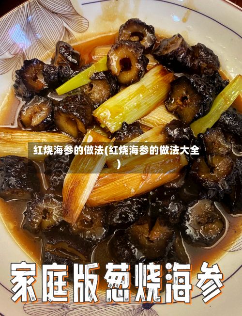 红烧海参的做法(红烧海参的做法大全)