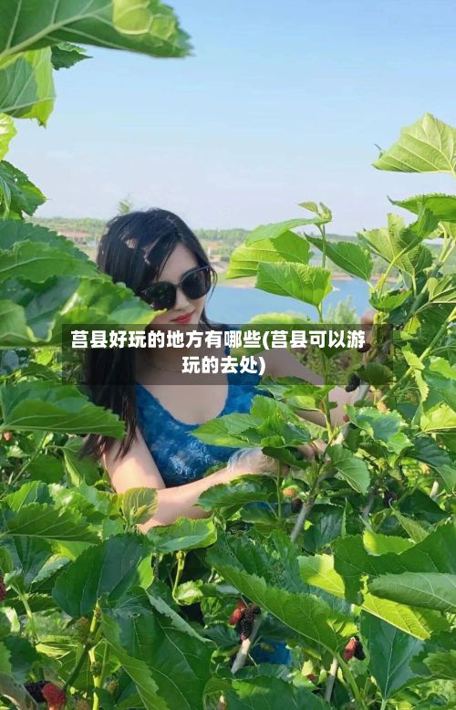 莒县好玩的地方有哪些(莒县可以游玩的去处)-第2张图片