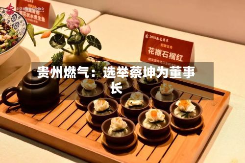 贵州燃气：选举蔡坤为董事长