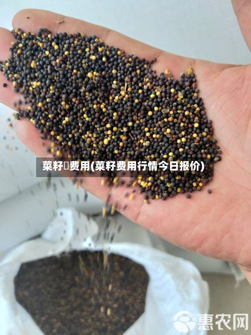 菜籽粨费用(菜籽费用行情今日报价)