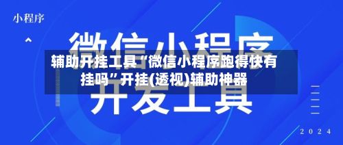 辅助开挂工具“微信小程序跑得快有挂吗	”开挂(透视)辅助神器-第2张图片