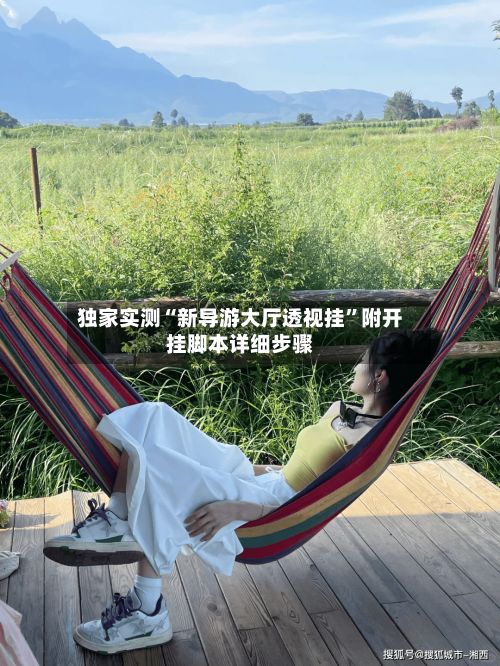 独家实测“新导游大厅透视挂	”附开挂脚本详细步骤-第2张图片
