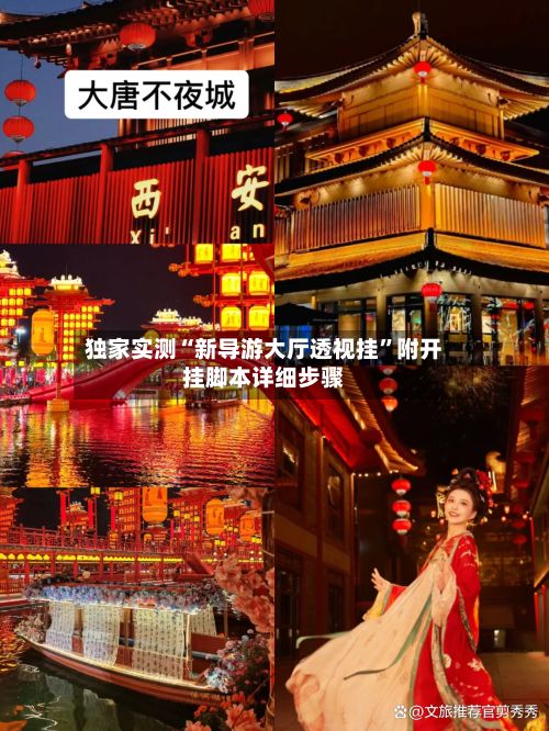 独家实测“新导游大厅透视挂”附开挂脚本详细步骤-第3张图片