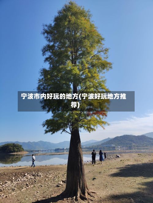 宁波市内好玩的地方(宁波好玩地方推荐)