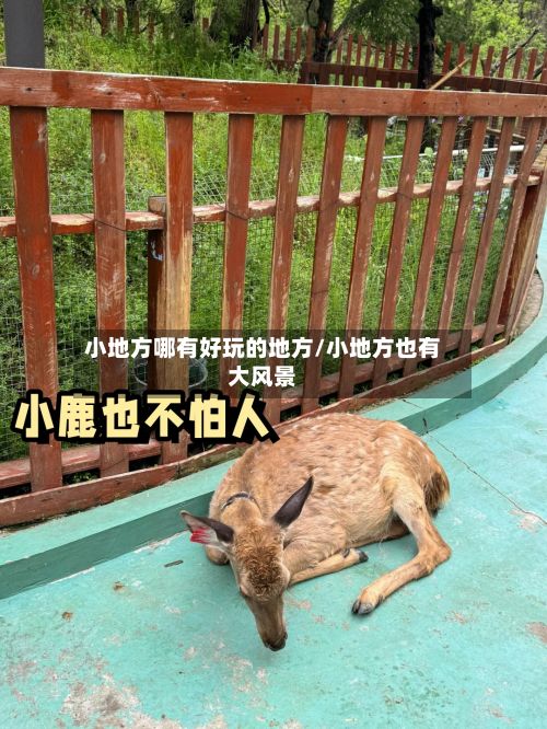 小地方哪有好玩的地方/小地方也有大风景