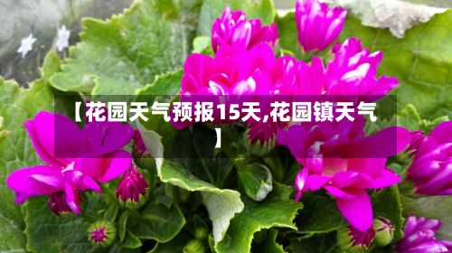 【花园天气预报15天,花园镇天气】