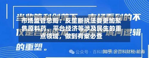 市场监管总局：反垄断执法要更加聚焦原料药、平台经济等涉及民生的重点领域	，做到有案必查-第3张图片
