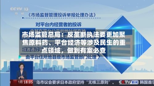 市场监管总局：反垄断执法要更加聚焦原料药、平台经济等涉及民生的重点领域，做到有案必查