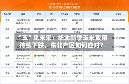 “玉”见未来：华北新季玉米费用持续下跌	，东北产区如何应对？-第2张图片