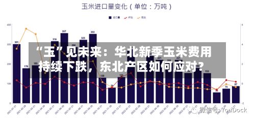 “玉	”见未来：华北新季玉米费用持续下跌，东北产区如何应对？-第1张图片
