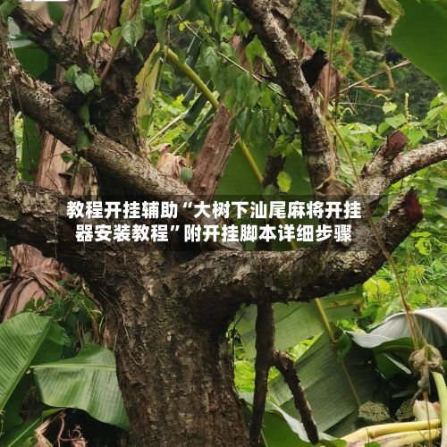 教程开挂辅助“大树下汕尾麻将开挂器安装教程”附开挂脚本详细步骤-第2张图片