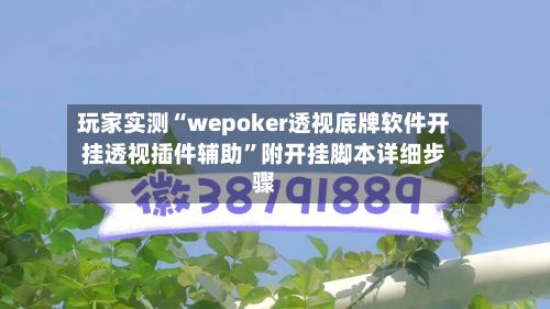 玩家实测“wepoker透视底牌软件开挂透视插件辅助”附开挂脚本详细步骤-第2张图片
