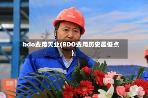 bdo费用天业(BDO费用历史最低点)