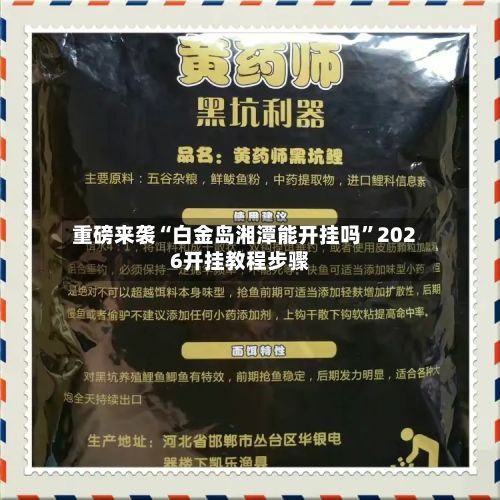 重磅来袭“白金岛湘潭能开挂吗”2026开挂教程步骤-第3张图片