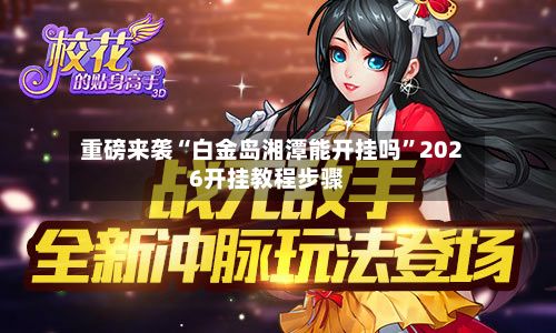 重磅来袭“白金岛湘潭能开挂吗”2026开挂教程步骤-第2张图片