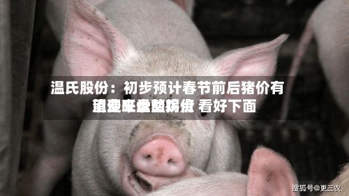 温氏股份:初步预计春节前后猪价有望迎来盘整拐点 看好下面
消费旺季的鸡价-第1张图片