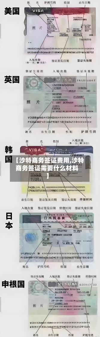 【沙特商务签证费用,沙特商务签证需要什么材料】-第2张图片