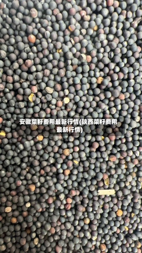 安徽菜籽费用最新行情(陕西菜籽费用最新行情)-第2张图片