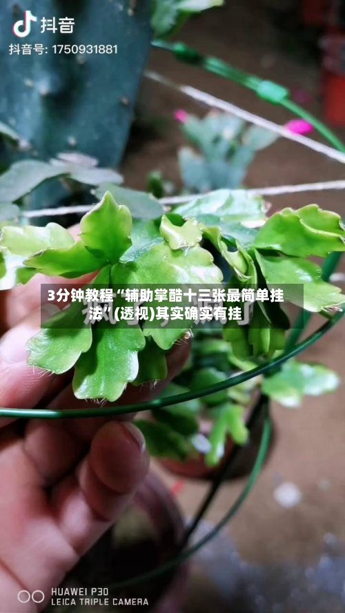 3分钟教程“辅助掌酷十三张最简单挂法”(透视)其实确实有挂-第3张图片
