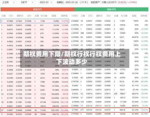 期权费用下限/期权行权行权费用上下波动多少-第2张图片