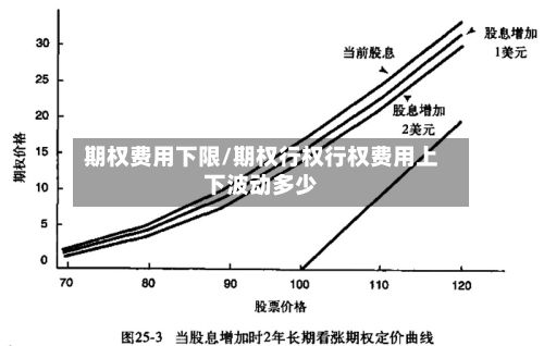 期权费用下限/期权行权行权费用上下波动多少