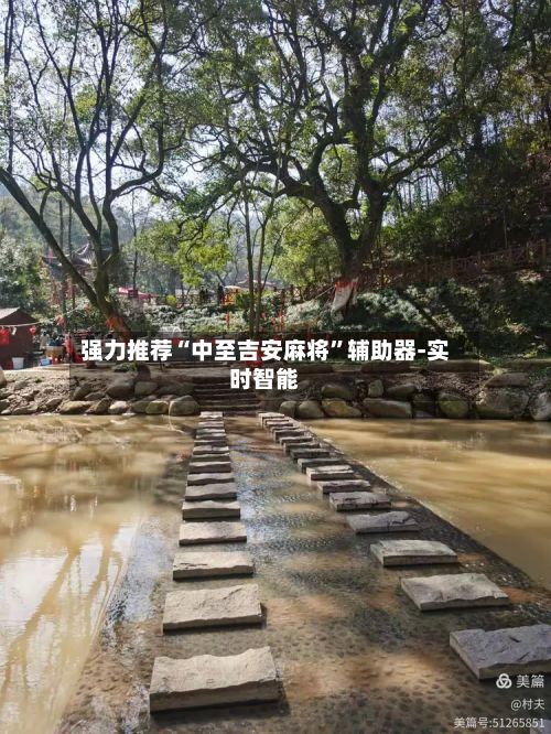 强力推荐“中至吉安麻将”辅助器-实时智能-第3张图片