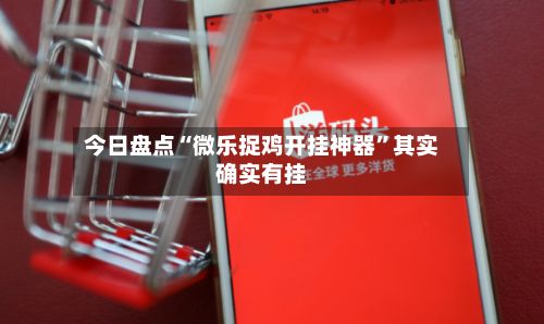 今日盘点“微乐捉鸡开挂神器”其实确实有挂-第3张图片