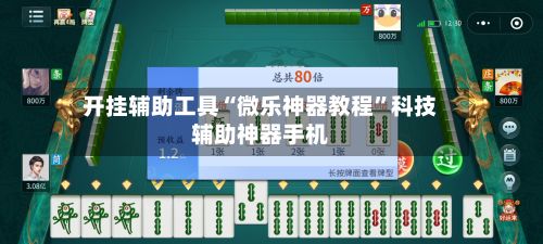 开挂辅助工具“微乐神器教程”科技辅助神器手机-第2张图片