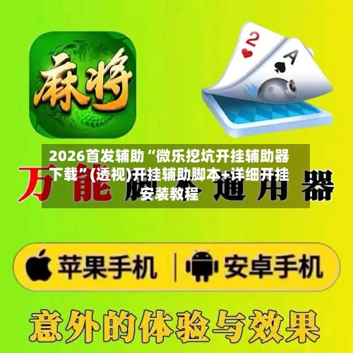 2026首发辅助“微乐挖坑开挂辅助器下载”(透视)开挂辅助脚本+详细开挂安装教程-第3张图片