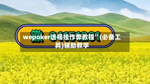wepoker透视挂作弊教程”(必备工具)辅助教学-第3张图片
