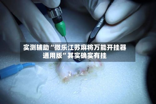 实测辅助“微乐江苏麻将万能开挂器通用版”其实确实有挂-第3张图片
