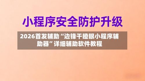 2026首发辅助“边锋干瞪眼小程序辅助器	”详细辅助软件教程-第2张图片