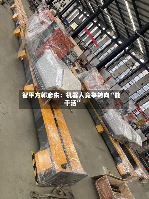 智平方郭彦东：机器人竞争转向“能干活	”-第2张图片
