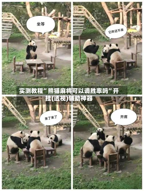 实测教程	”熊猫麻将可以调胜率吗”开挂(透视)辅助神器-第3张图片