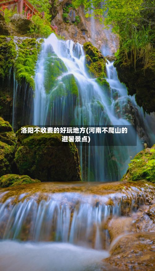 洛阳不收费的好玩地方(河南不爬山的避暑景点)-第2张图片