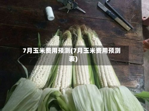 7月玉米费用预测(7月玉米费用预测表)-第2张图片