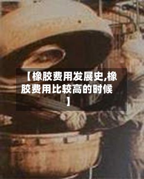 【橡胶费用发展史,橡胶费用比较高的时候】-第2张图片