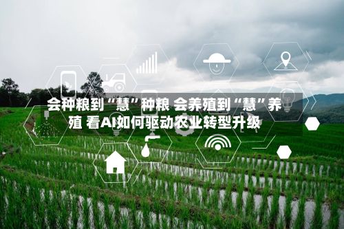 会种粮到“慧”种粮 会养殖到“慧	”养殖 看AI如何驱动农业转型升级-第2张图片