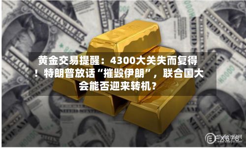 黄金交易提醒：4300大关失而复得！特朗普放话“摧毁伊朗”，联合国大会能否迎来转机？-第2张图片