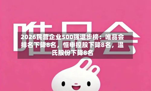 2026民营企业500强退步榜：唯品会排名下降8名，恒申控股下降8名，温氏股份下降8名-第3张图片