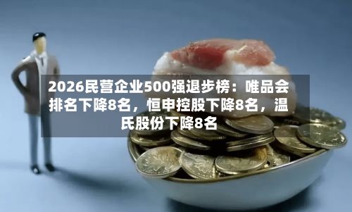 2026民营企业500强退步榜：唯品会排名下降8名	，恒申控股下降8名，温氏股份下降8名-第2张图片