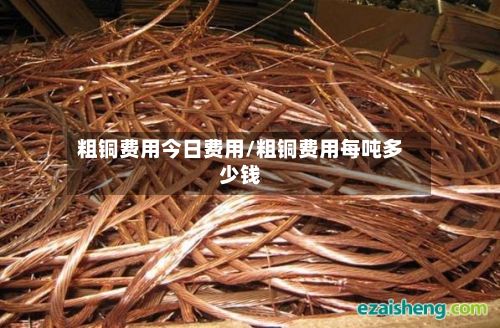 粗铜费用今日费用/粗铜费用每吨多少钱