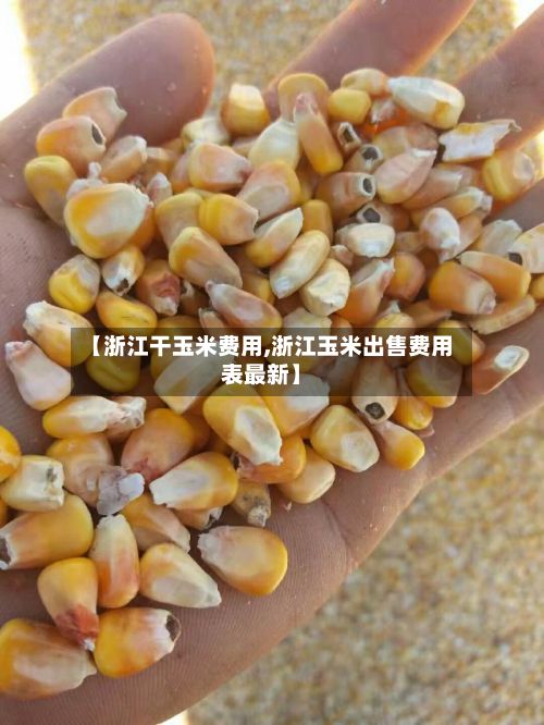 【浙江干玉米费用,浙江玉米出售费用表最新】