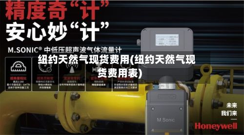 纽约天然气现货费用(纽约天然气现货费用表)